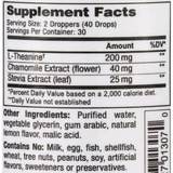 L-Theanine Liquid - Natural Lemon - 2 fl oz NuMedica