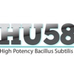 HU58 High Potency Bacillus Subtilis 60 Caps